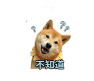 864942805