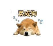 864942808