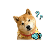 864942810