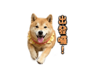 864942811