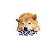 864942812