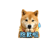 864942815