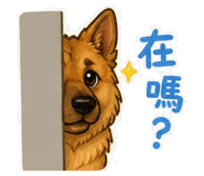 864942907