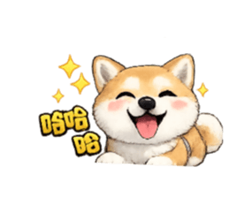 864943675