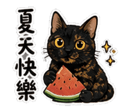 864944109