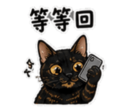 864944278