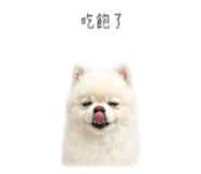 864944926