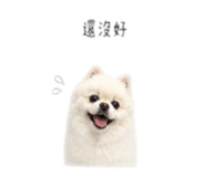 864944934