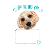 864946045