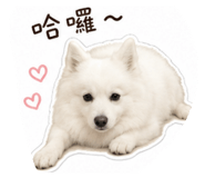 864946193