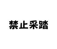 864947048