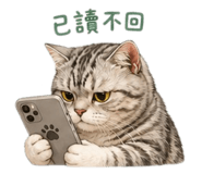 864947696