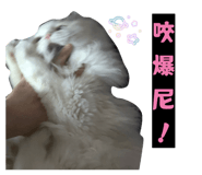 864947793