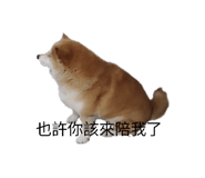 864948171