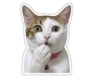 864948908