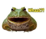 864950005