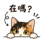 864952199