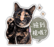 864952565