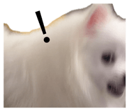 864966526