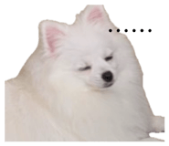 864966527