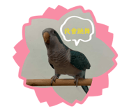 864966884
