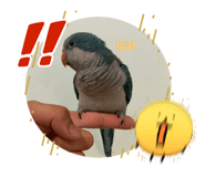 864966885