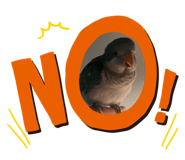 864966890