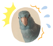864966896