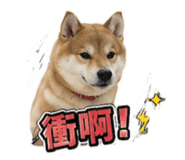 864971979