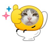 864972573