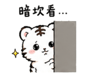 864973304