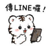 864973320