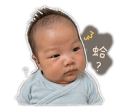 864975122