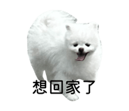 864976265