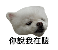864976266