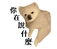864976269