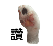 864976279