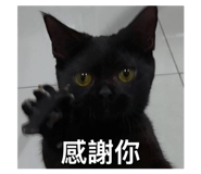 864988581