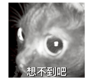864988591
