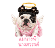 864992146