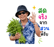 864992980