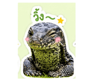 864993284