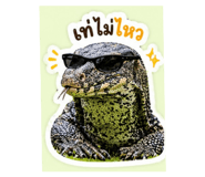 864993285