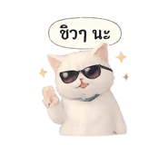 864994516