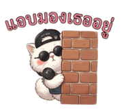 864995158