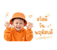 864995565