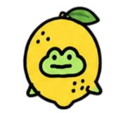 864995593