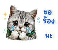 864996881