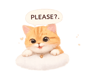 864997465