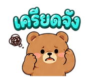 864998009
